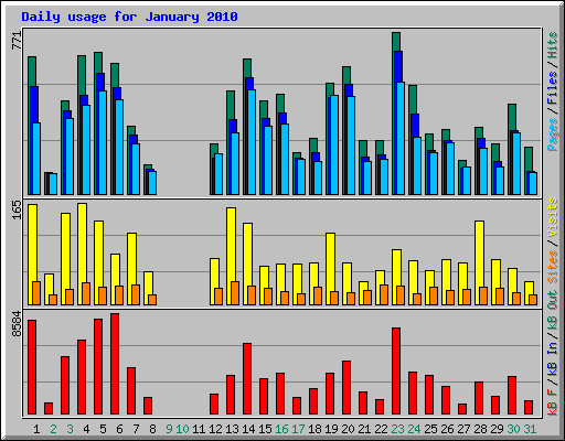 Daily usage for January 2010