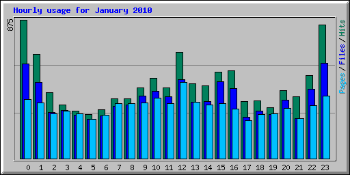 Hourly usage for January 2010