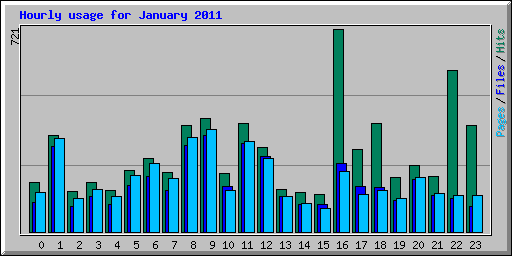 Hourly usage for January 2011